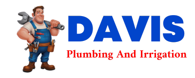 Trusted plumber in ROACH